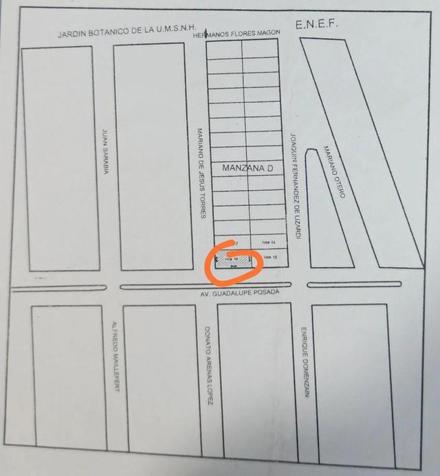 Foto de la galeria de imagenes