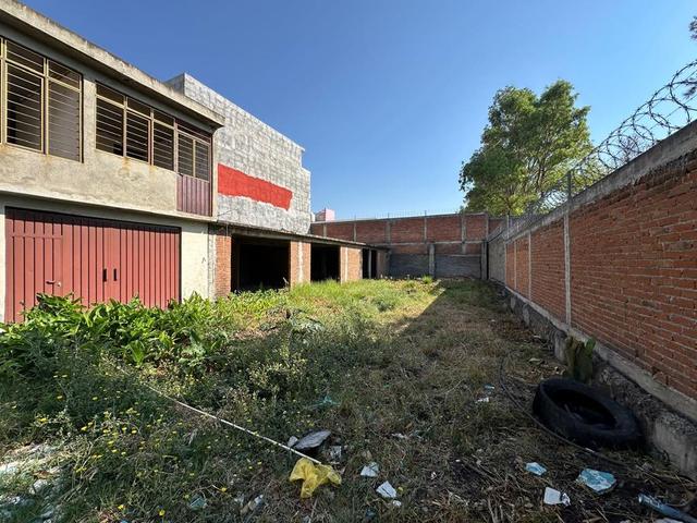 Foto de la galeria de imagenes