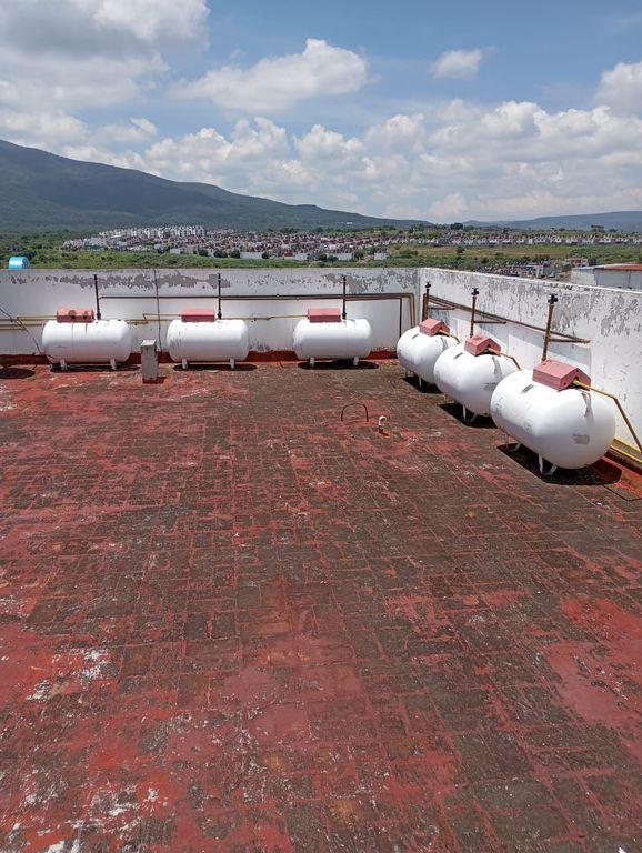 Foto de la galeria de imagenes