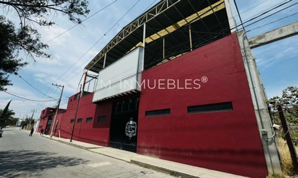 Foto de la galeria de imagenes