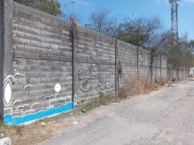 Foto de la galeria de imagenes