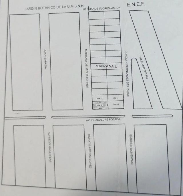 Foto de la galeria de imagenes
