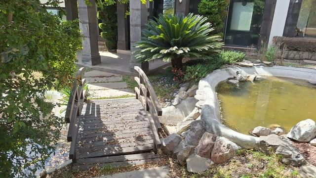 Foto de la galeria de imagenes