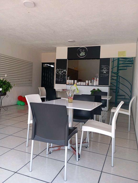 Foto de la galeria de imagenes