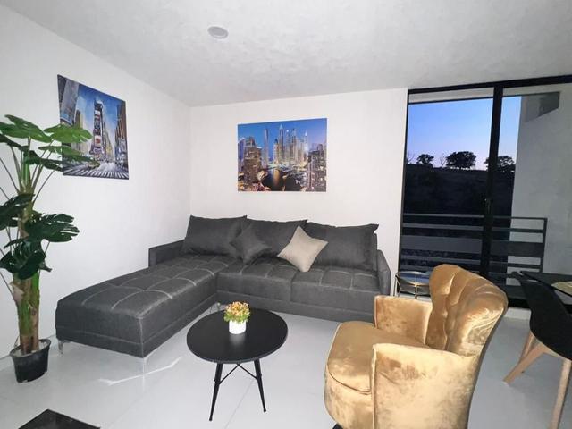 Foto de la galeria de imagenes