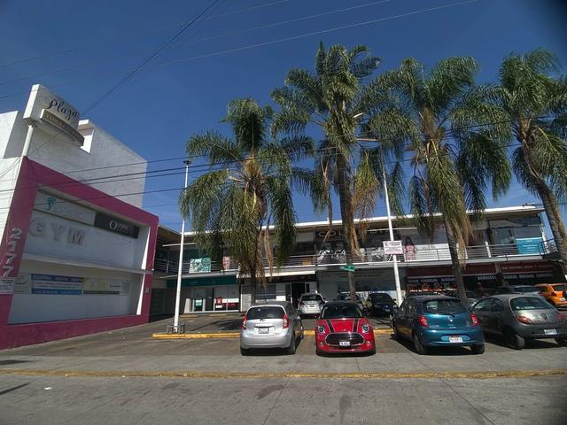 Foto de la galeria de imagenes
