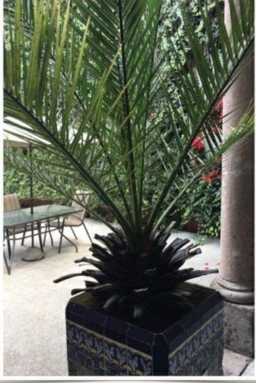 Foto de la galeria de imagenes