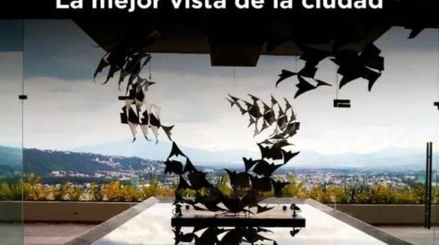 Foto de la galeria de imagenes