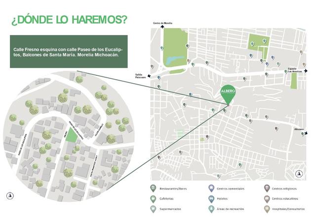 Foto de la galeria de imagenes