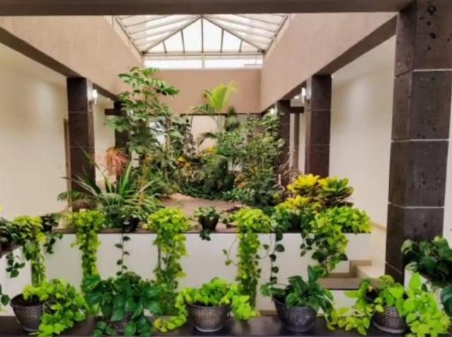 Foto de la galeria de imagenes