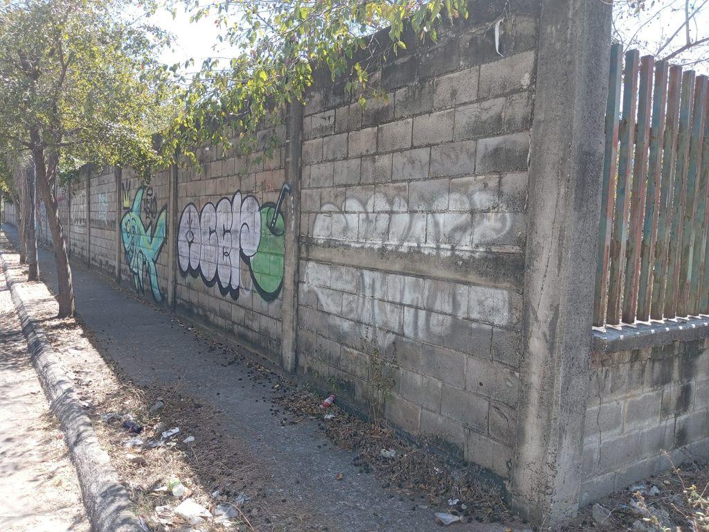 Foto de la galeria de imagenes
