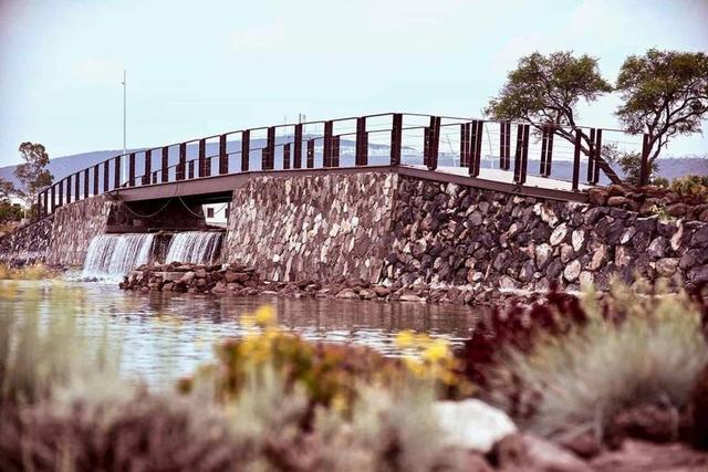 Foto de la galeria de imagenes