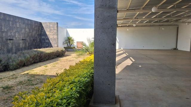 Foto de la galeria de imagenes