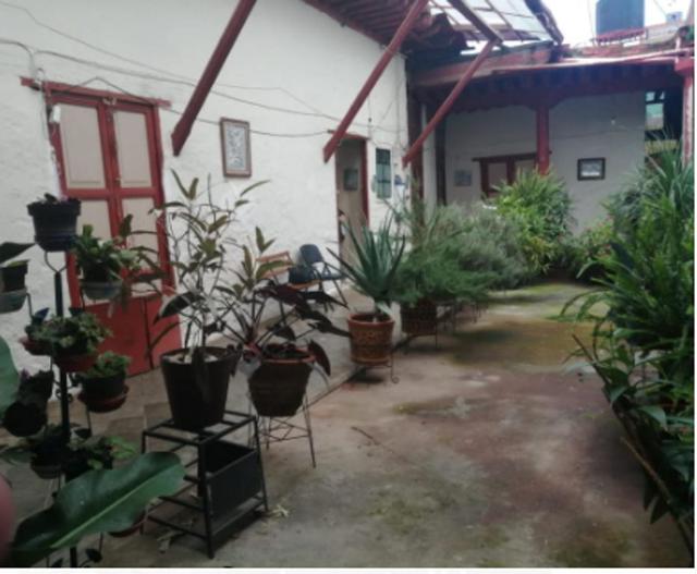 Foto de la galeria de imagenes