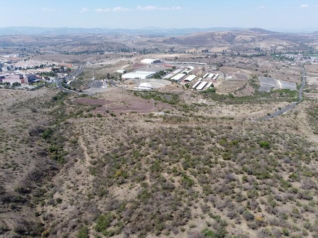 Foto de la galeria de imagenes