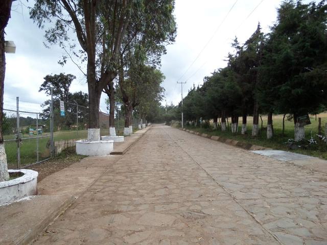 Foto de la galeria de imagenes