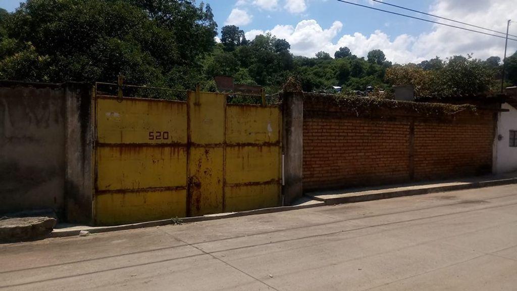Foto de la galeria de imagenes