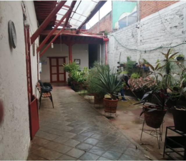 Foto de la galeria de imagenes
