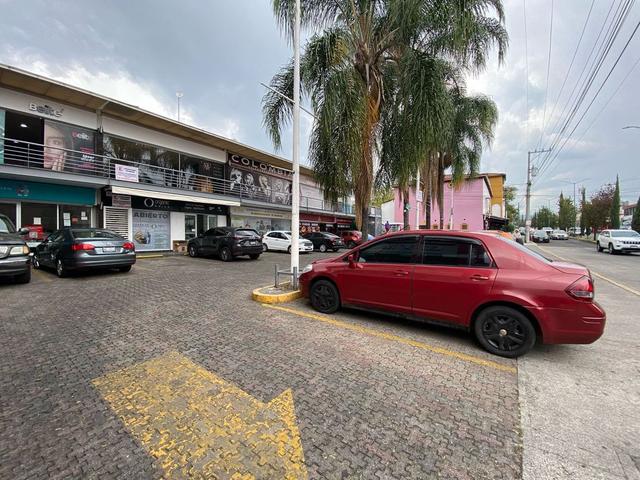 Foto de la galeria de imagenes