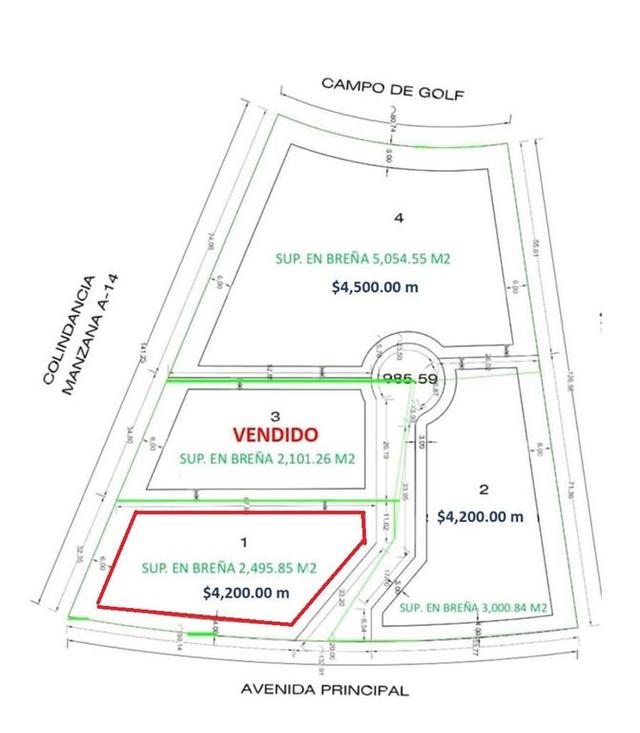 Foto de la galeria de imagenes