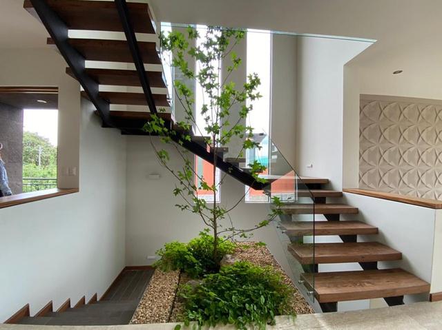 Foto de la galeria de imagenes
