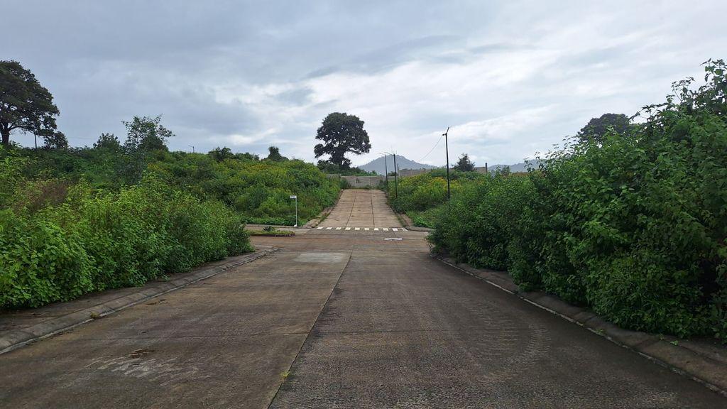Foto de la galeria de imagenes
