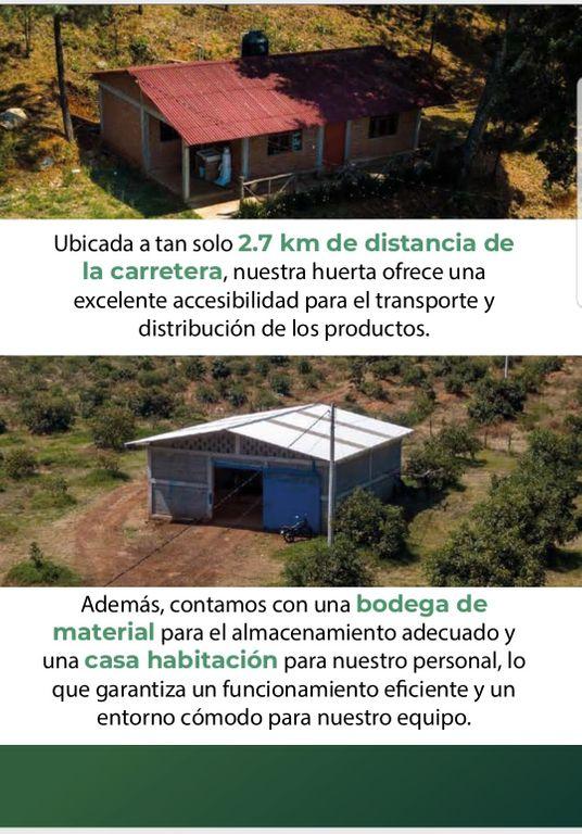 Foto de la galeria de imagenes