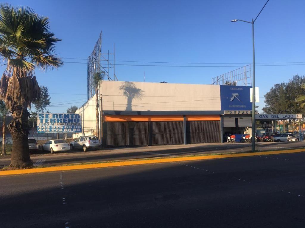 Foto de la galeria de imagenes