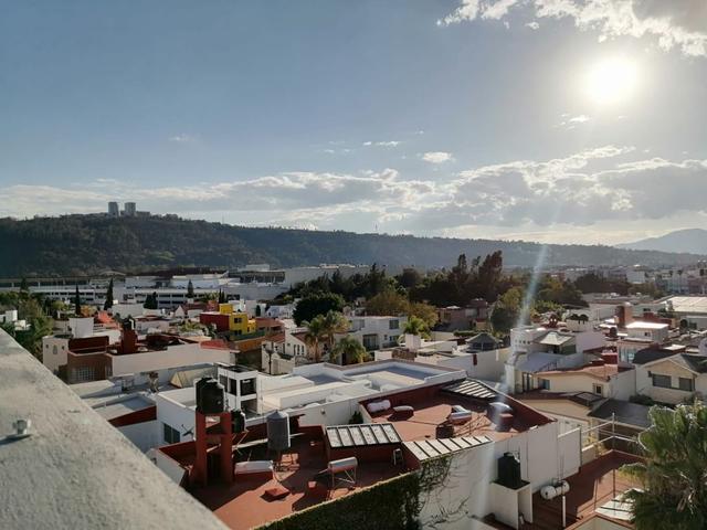 Foto de la galeria de imagenes
