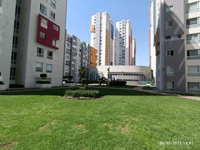 Foto de la galeria de imagenes