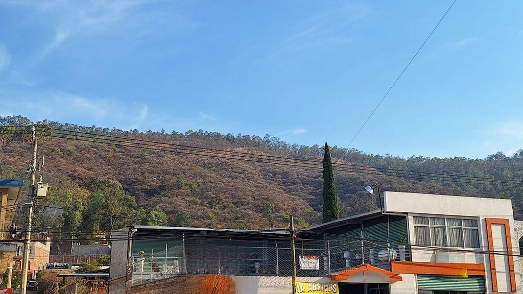 Foto de la galeria de imagenes