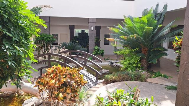 Foto de la galeria de imagenes