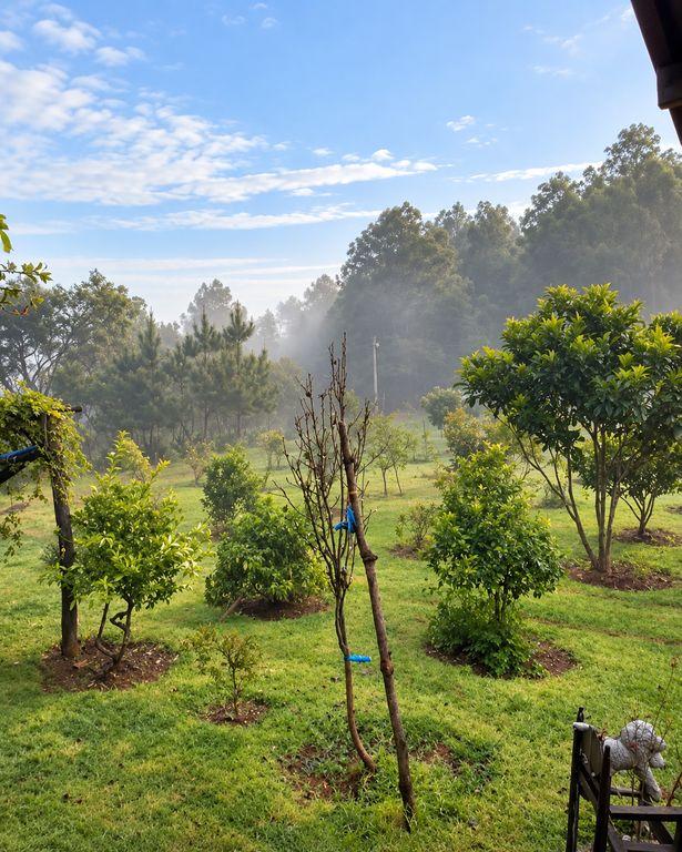 Foto de la galeria de imagenes