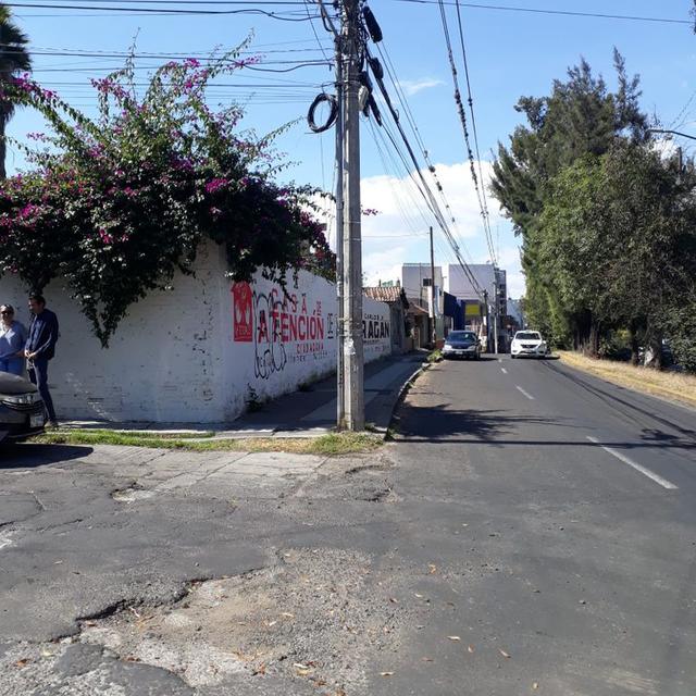 Foto de la galeria de imagenes