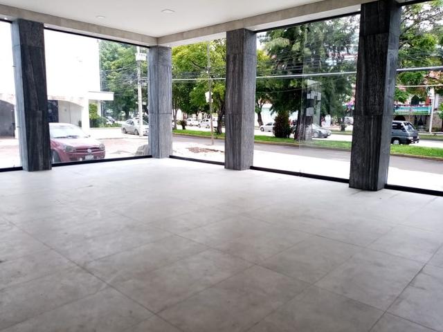 Foto de la galeria de imagenes