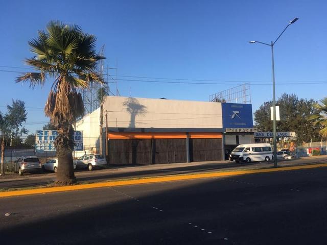 Foto de la galeria de imagenes
