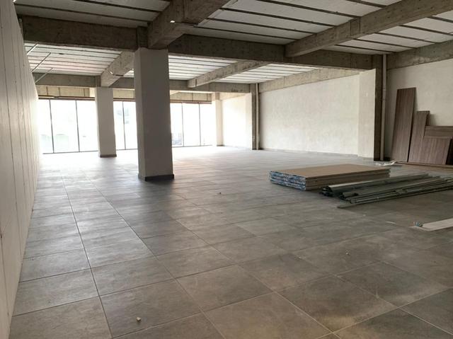 Foto de la galeria de imagenes