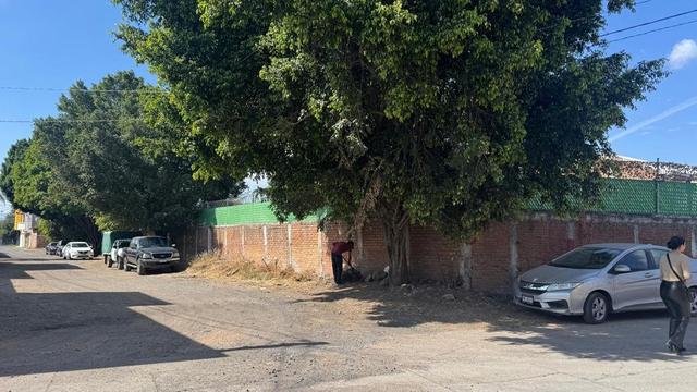 Foto de la galeria de imagenes