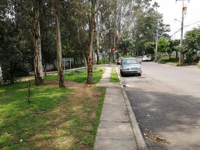 Foto de la galeria de imagenes