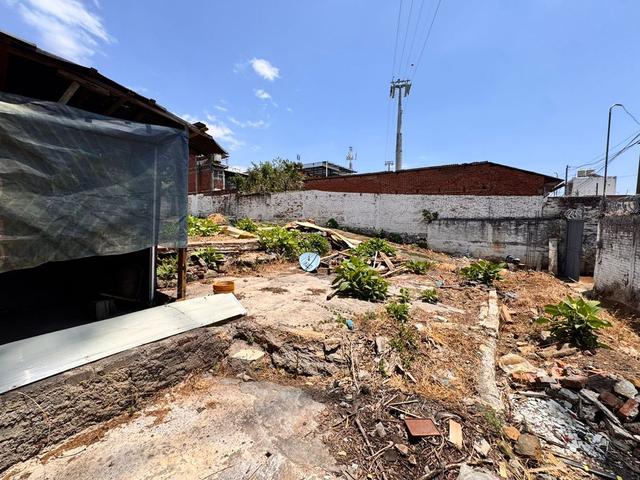 Foto de la galeria de imagenes