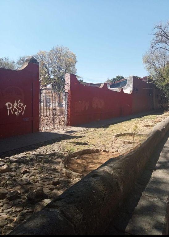Foto de la galeria de imagenes