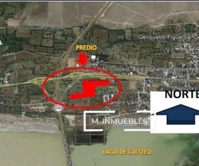 Foto de la galeria de imagenes
