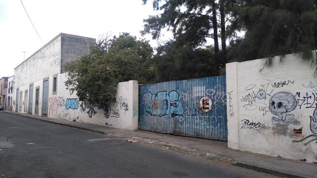 Foto de la galeria de imagenes