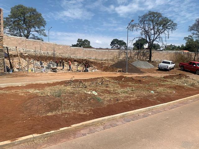 Foto de la galeria de imagenes