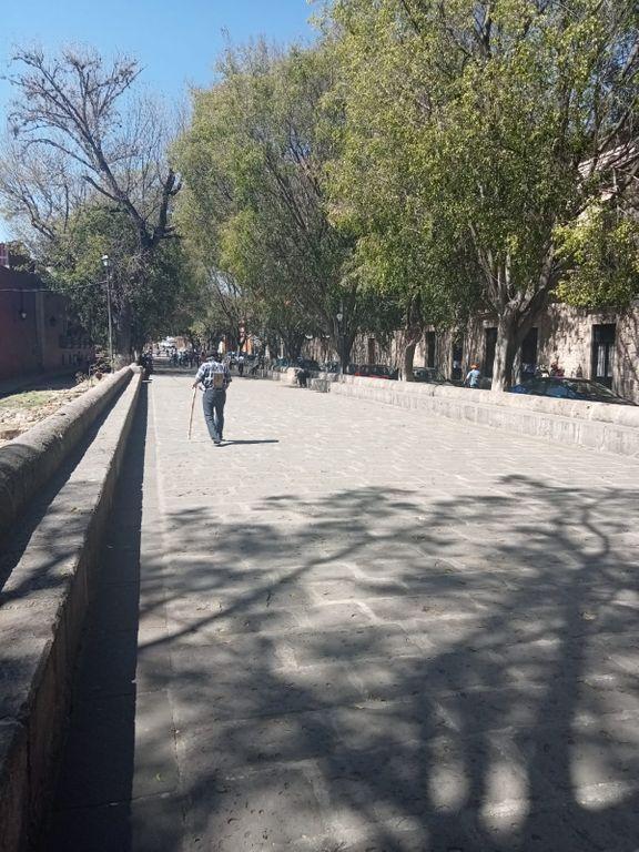 Foto de la galeria de imagenes