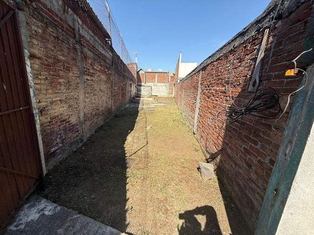 Foto de la galeria de imagenes