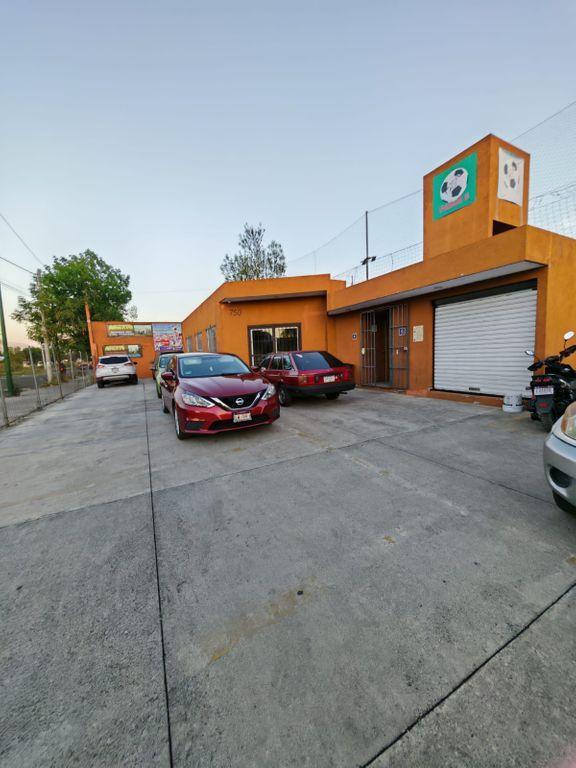 Foto de la galeria de imagenes