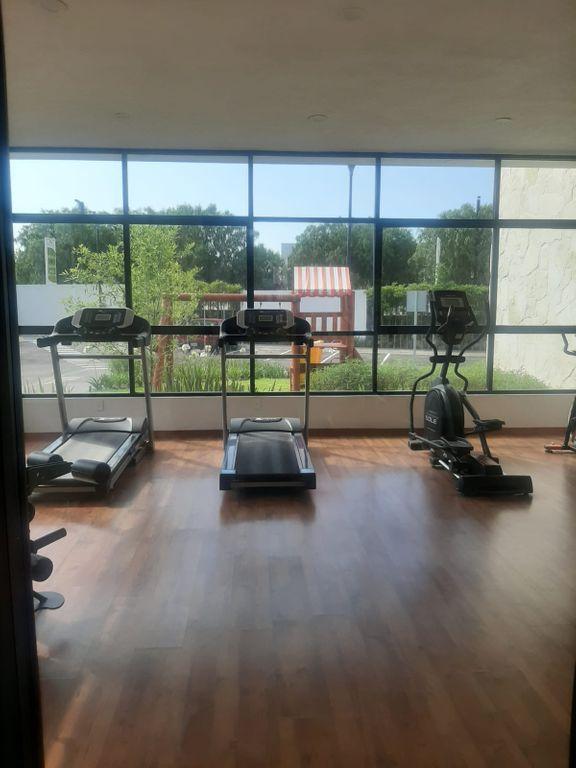 Foto de la galeria de imagenes