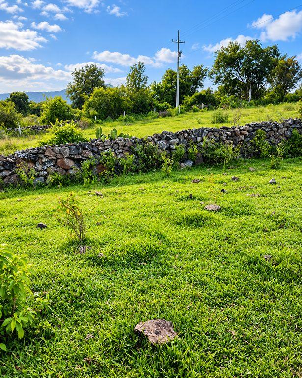 Foto de la galeria de imagenes