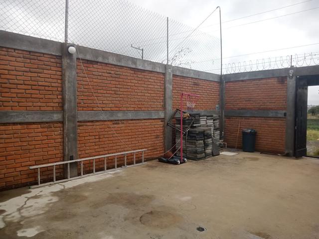 Foto de la galeria de imagenes